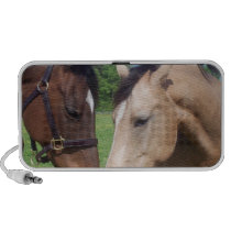 Horse Romance Speakers