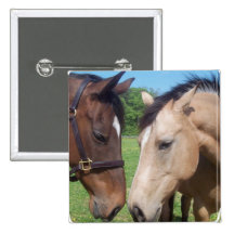Horse Romance Square Pin