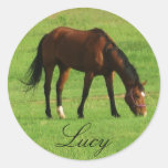 Horse Round Sticker