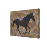 Horse running free stretched canvas prints