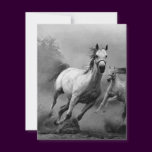 Horse Running