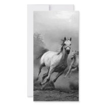 Horse Running photo cards by hizli_art Horse Running photo cards