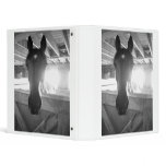Horse Sense/Barn Horse 3 Ring Binder