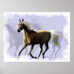 Horse Shadow Poster