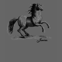 Horse t-shirts