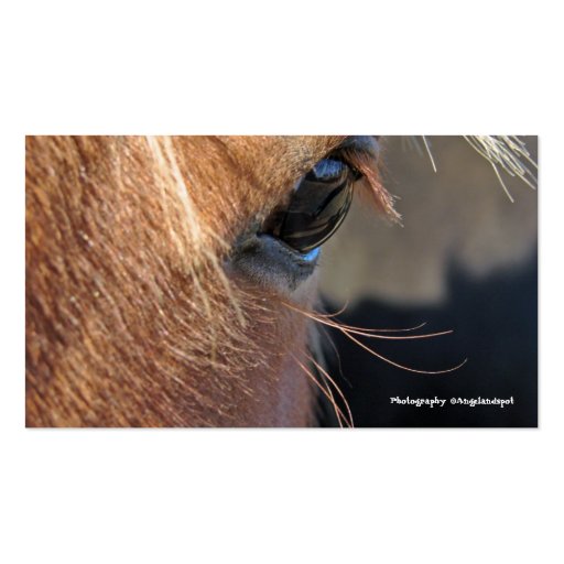Horse Shoe Acres Business Card Templates (back side)