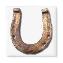 Horse Shoe Magnet by NStride Horse Shoe Magnet