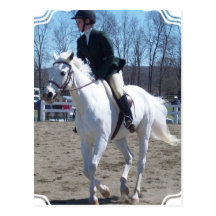 Horse Show Postcard