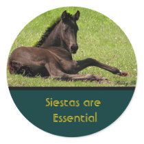 Horse Siesta Stickers