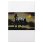 Horse silhouette by Moonlight Stationery