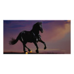 Horse silhouette galloping free at sunset photo cards