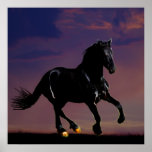 Horse silhouette galloping free at sunset poster