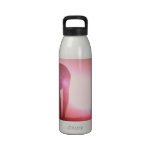 Horse Silhouette Water Bottle