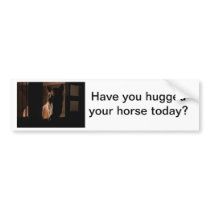 Horse Silhouetted in Barn Stall Bumper Sticker