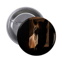 Horse Silhouetted in Barn Stall Pins