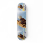 Horse Skateboard