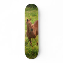 Horse Custom Skate Board