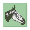 Horse Skeleton magnets