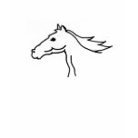 Horse sketch shirt