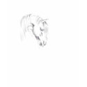 Horse Sketch t-shirts