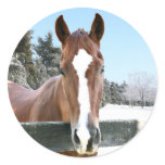 Horse Snow Round Sticker