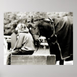 Horse Snuggles posters