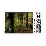 Horse Spirit Postage Stamps