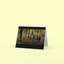 Horse Spirits Notecards