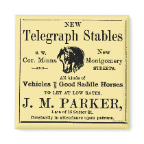 Horse Stable Newspaper Advertisement magnets