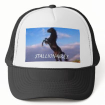 HORSE, STALLIONAIRES hats