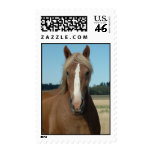 Horse Stamp