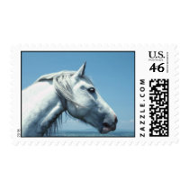 Horse Stamp stamps