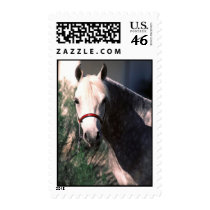 Horse Stamp stamps