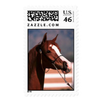 Horse Stamp stamps