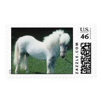 Horse Stamp stamps