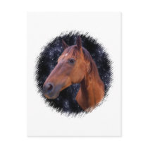 HORSE STARS post card postcards by DODGERFL HORSE STARS post card postcards