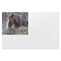 horse stationary writing pad stationery