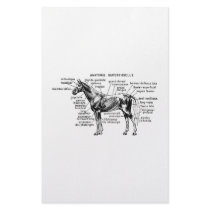 Horse Custom Stationery