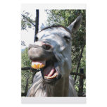 Horse Stationery Design