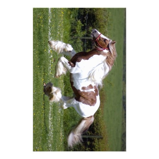 Horse Stationery Zazzle