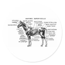 Horse Round Stickers