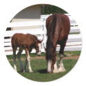 Horse stickers