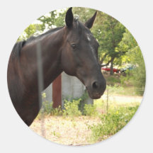 Horse Sticker
