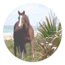 Horse Sticker Beach