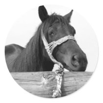 Horse Stickers by emele1 Horse Stickers