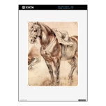 Horse studies by Paul Rubens Decals For iPad