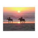 Horse Sunset Post Card postcards by frawgy21 Horse Sunset Post Card postcards