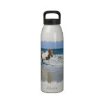 Horse Swim Design Water Bottle