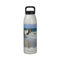 Horse Swim Design Water Bottle