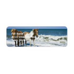 Horse Swim Return Address Label